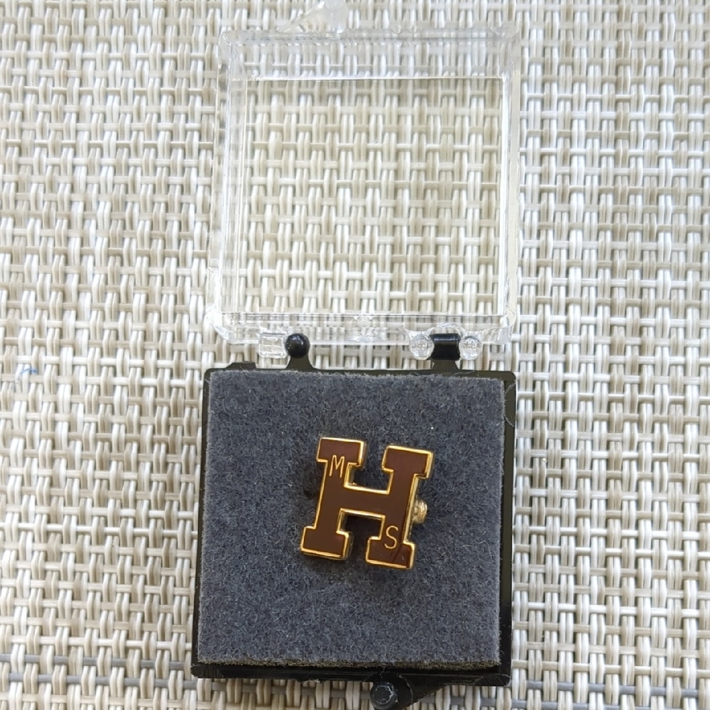 Gold Initial 'H' Pin